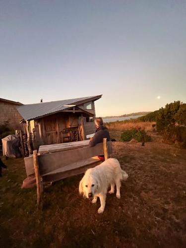 a white dog laying in the grass next to a person at Beach House Hideaway in Lechagua