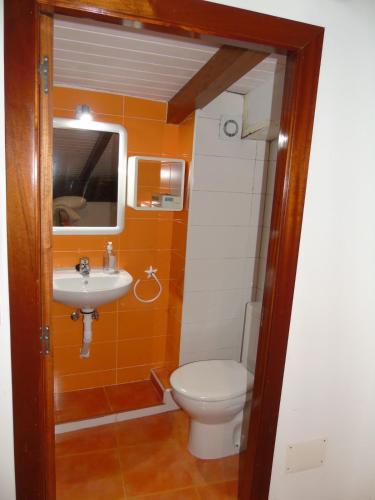 a bathroom with a toilet and a sink at Loft Dúplex O Viñal in Muros