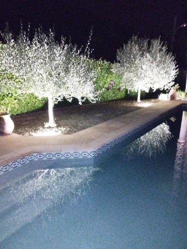 une rangée d'arbres près d'une piscine la nuit dans l'établissement AU VALLON ROUGE (Studio), à Saint-Paul-de-Vence