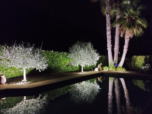 - un jardin avec des palmiers et une piscine ouverte la nuit dans l'établissement AU VALLON ROUGE (Studio), à Saint-Paul-de-Vence