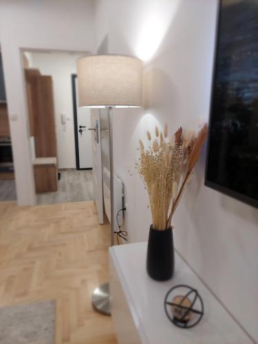 Kuchyň nebo kuchyňský kout v ubytování Apartman Maka