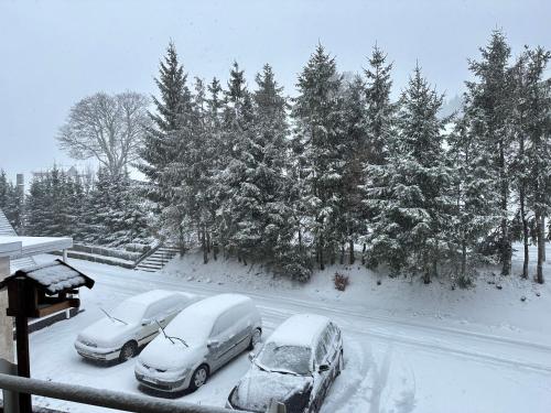 two cars parked on a road covered in snow at Jacky Apartment in Schonwald im Schwarzwald