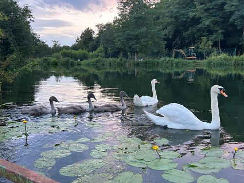 TRANQU'ILL sur les berges de l'Ill