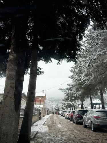 a street with cars parked on the side of the road at Hotel Ambassador Voskopojë in Voskopojë