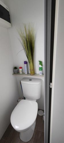 La salle de bains est pourvue de toilettes blanches et d'une plante sur une étagère. dans l'établissement mobilhome Samba 3 chambres, aux Mathes