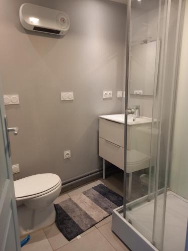 une salle de bain avec toilettes, lavabo et douche dans l'établissement Appartement 4 personnes, à Jouy