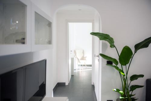 Gambar di galeri bagi Linate Garden house Mecenate di Milan