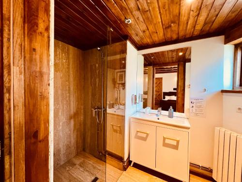 a bathroom with a sink and a shower at Nautica Bahna in Orşova