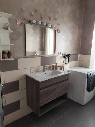 a bathroom with a sink and a mirror at Casa Vacanza Magnolia in Tollo