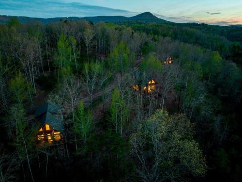 an aerial view of a house in the woods at Cabin 4 Mtn View Cabin Near River with Fire Pit and Hot Tub in Jasper