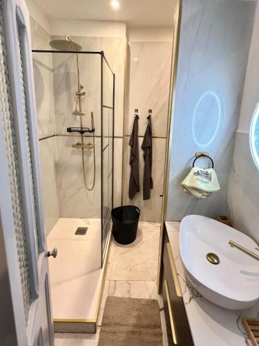 une salle de bain avec une douche, des toilettes et un lavabo dans l'établissement Appartement cosy hypercentre, proche gare, à Avignon
