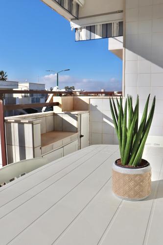 a plant in a pot sitting on a balcony at Nido del Mar in Lendinuso
