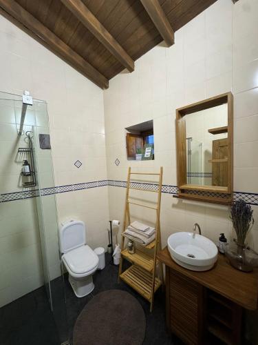 a bathroom with a toilet a sink and a shower at LouzaNook - Casa do Moinho in Lousã