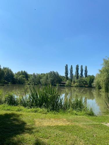 a large lake with trees in the background at Exclusive Lodge overlooking private lake in Laneuville-à-Rémy