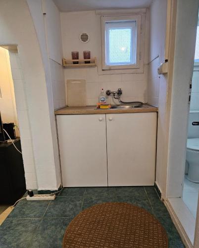 Cuisine ou kitchenette dans l'établissement Apartman Podrumče,Netflix, besplatan parking