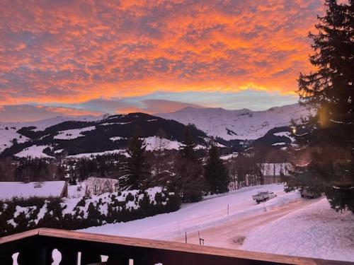 Appartement à Megève skis aux pieds - La CABOCHE
