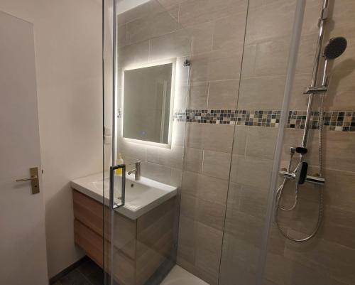 une salle de bain avec un lavabo et une douche dans l'établissement La Résidence des Poètes, à Dijon
