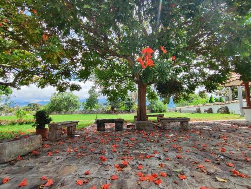 Сад в Hotel Hacienda El Novillero