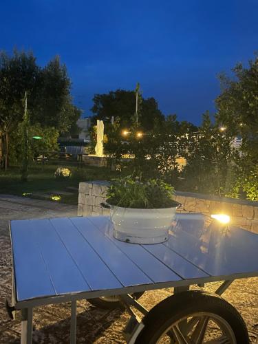Fotografie z fotogalerie ubytování Grano Arso Appartamento Turistico v destinaci Cisternino
