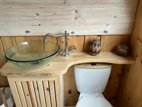 a bathroom with a sink and a toilet at Plett Yellowwood Tiny House in Plettenbergbaai