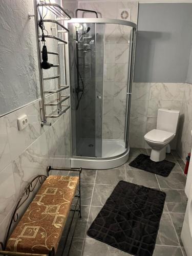 a bathroom with a shower and a toilet at Незабутні Карпати in Vorokhta