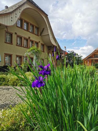 Gasthof Kreuz Marbachにある庭