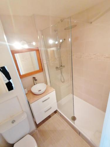 une salle de bain avec une douche, des toilettes et un lavabo dans l'établissement DUPLEX with terrace in residence and pool, à Cogolin