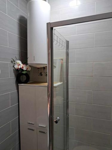 eine Dusche mit Glastür im Badezimmer in der Unterkunft Jelena in Igalo