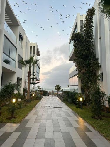a walkway between two buildings with birds flying overhead at Dar Bouazza getaway in Tamaris