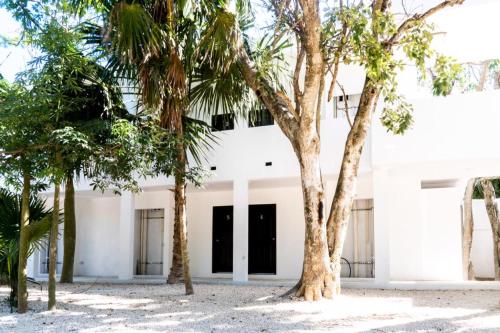 Hotel Casa Tortuga Tulum - Cenotes Park Inclusive en Tulum