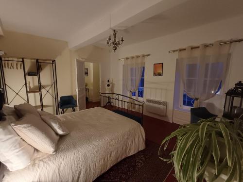- une chambre avec un lit et une plante dans l'établissement Appartement vue panoramique, à Carcassonne
