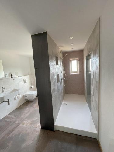 a bathroom with a shower and a toilet and a sink at LandQuartier - La Primera in Dürrröhrsdorf