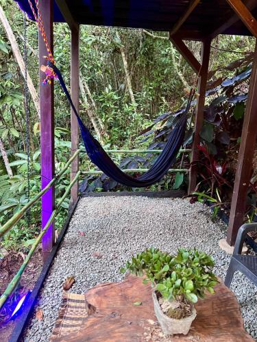 a hammock in a gazebo with a plant at Eco Lodge Glamping in Guatapé