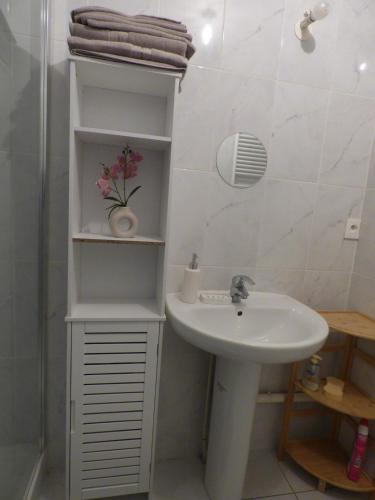 une salle de bain blanche avec un lavabo et une douche dans l'établissement Appartement studio lumineux refait a neuf proche Orly Paris Disneyland, à Limeil-Brévannes