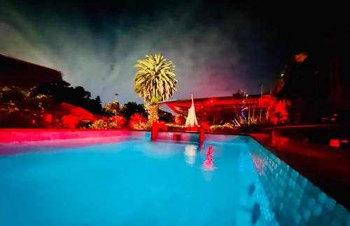 a large swimming pool with a palm tree in the background at The White House by Casona Lo Aguirre - El Monte RM in Talagante