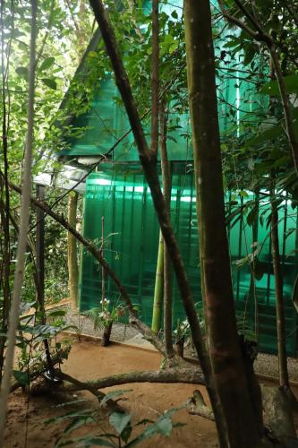 Zahrada ubytování Bamboo Cabana Adams Peak
