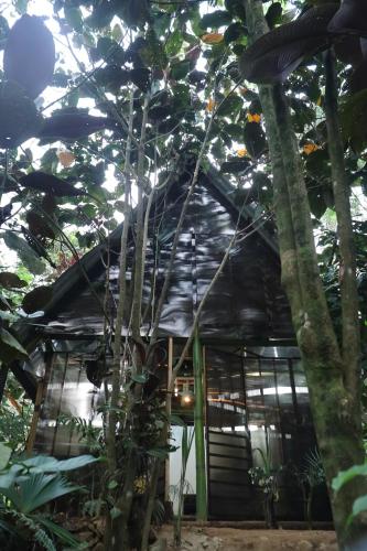 Zahrada ubytování Bamboo Cabana Adams Peak