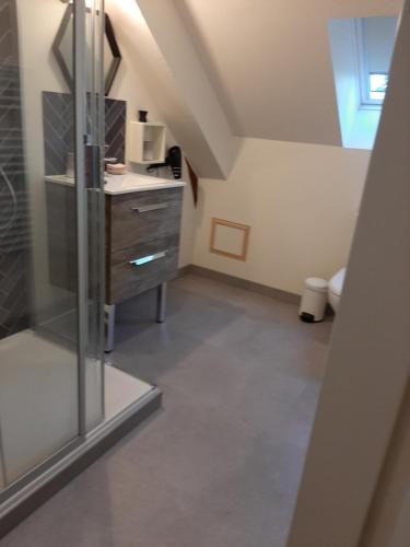 une salle de bain avec un lavabo et une douche en verre dans l'établissement Gite Vergers de Fontenay La Loire, à Lignières-de-Touraine