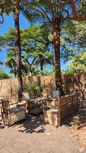 a group of benches sitting next to palm trees at La Case Sauvage in Diana
