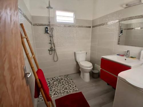 a bathroom with a toilet and a sink and a shower at Maison charmante à Port-Louis avec jardin in Port-Louis