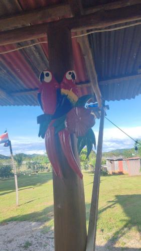 three birds on a pole under a roof at Villa Manzú Santa Cruz, Guanacaste in Santa Cruz