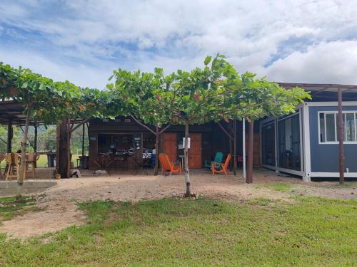 a small tree in front of a house at Villa Manzú Santa Cruz, Guanacaste in Santa Cruz