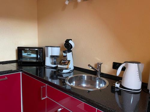 Haus am Kastanienwald في باد بيرغزابيرن: طاولة مطبخ مع حوض وميكروويف