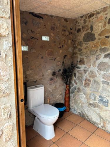 a bathroom with a toilet in a stone wall at Masía Can Janet in Arbúcies