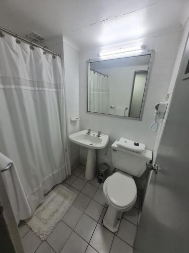 a bathroom with a toilet and a sink and a mirror at NEW HOTEL CRUZ DEL SUR in Concepción