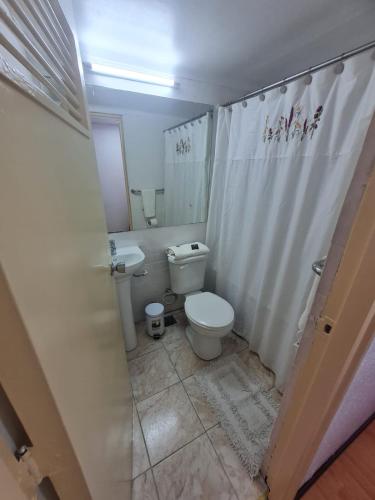 a bathroom with a toilet and a sink at NEW HOTEL CRUZ DEL SUR in Concepción
