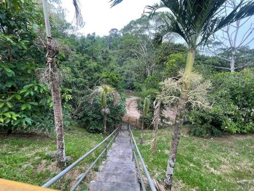 a set of train tracks in a forest with palm trees at Casa Rosalía in Sucúa