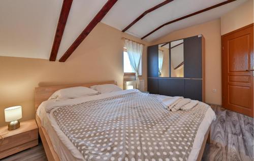 a bedroom with a large bed and a window at Pet Friendly Home In Ivanec With Wifi in Ivanec