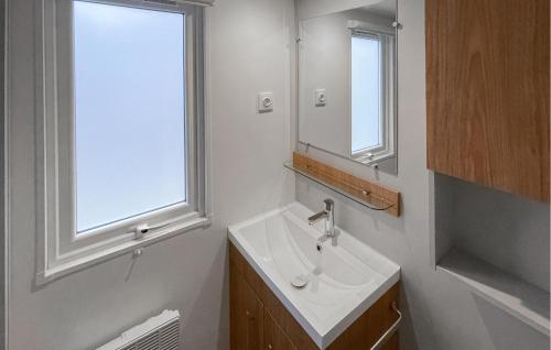 a bathroom with a sink and a mirror at 3 Bedroom Nice Home In Lauwersoog in Lauwersoog