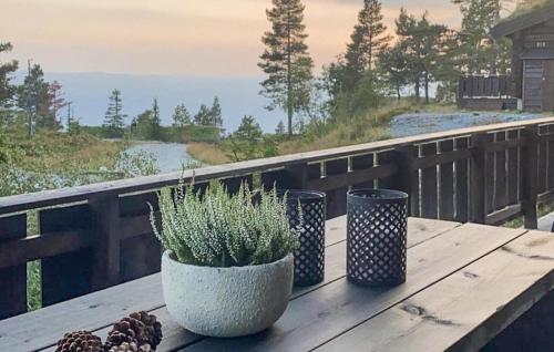 three plants sitting on a wooden table on a balcony at Amazing Home In Nissedal With Wifi in Fjone